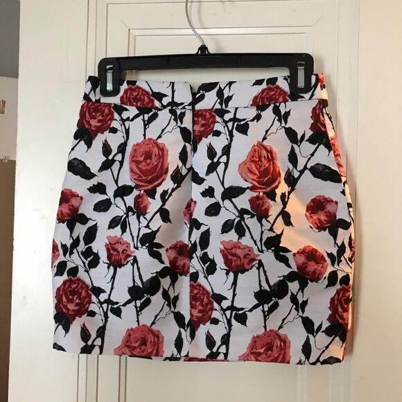 Asilio Case of Roses Mini Skirt - Floral - Size XS - Picture 9 of 10